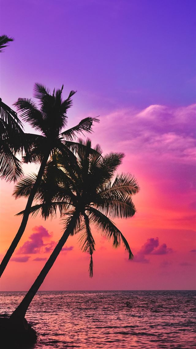 1284x2778 tonga - tonga iPhone Wallpaper