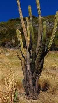 navassa island wallpaper