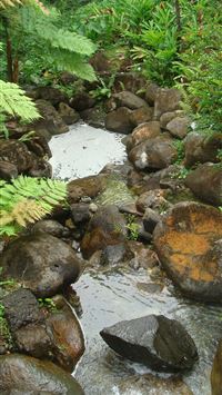 navassa island wallpaper