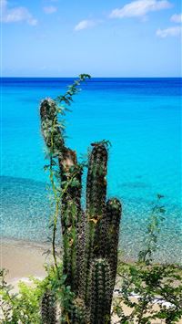 navassa island wallpaper