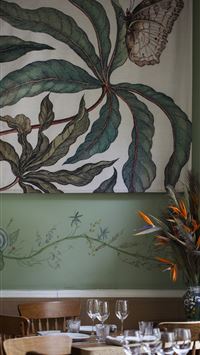 yucatan peninsula wallpaper