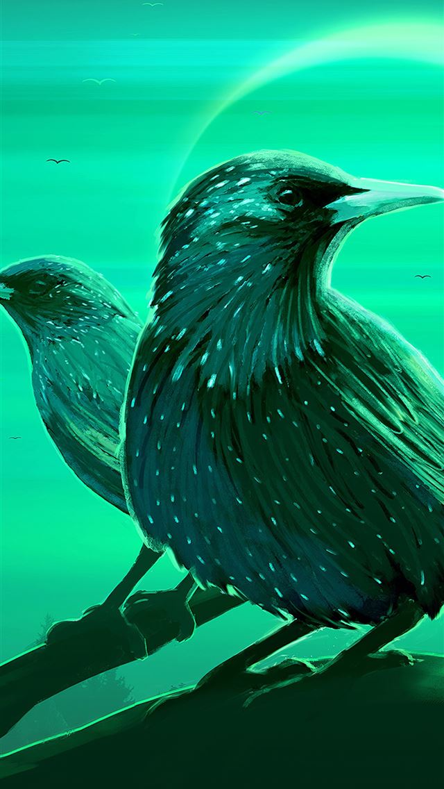 1284x2778 starling - starling iPhone Wallpaper