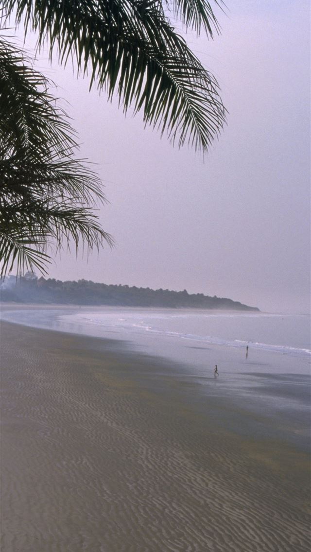 1284x2778 senegal - senegal iPhone Wallpaper