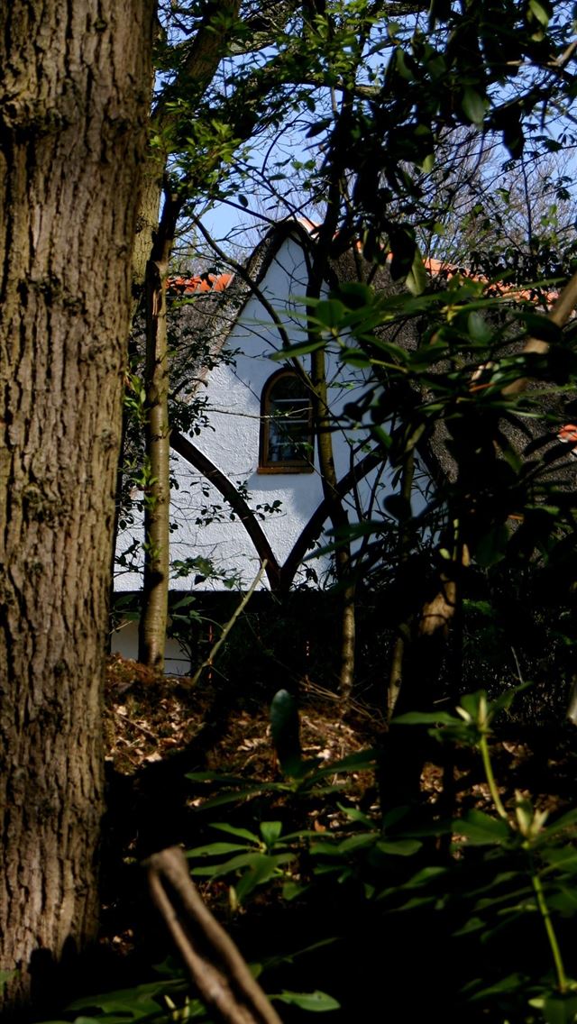 1284x2778 suriname -  iPhone Wallpaper