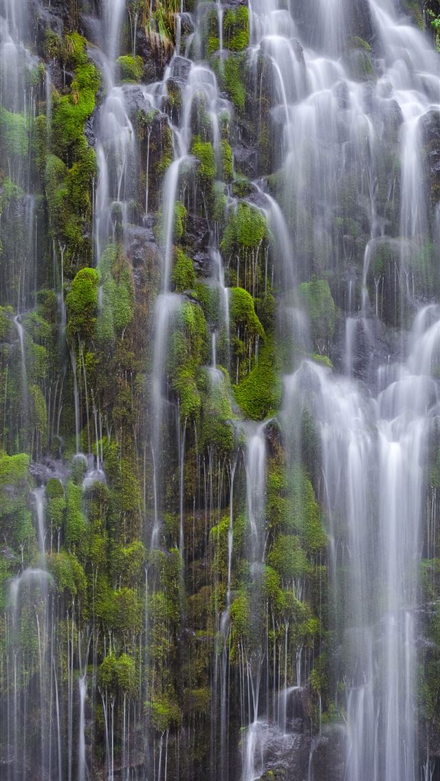 1284x2778 suriname -  iPhone Wallpaper
