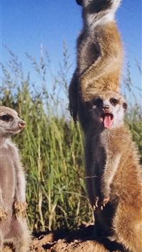 makgadikgadi pan wallpaper