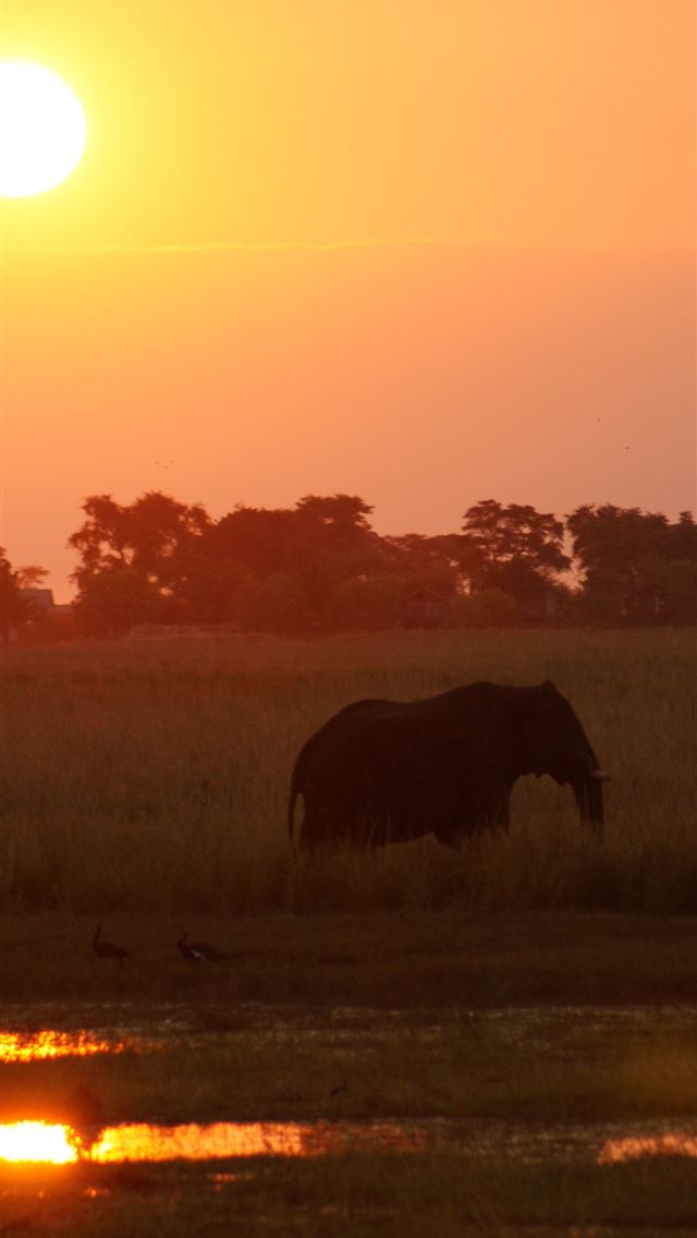 1284x2778 makgadikgadi pan - makgadikgadi pan iPhone Wallpaper