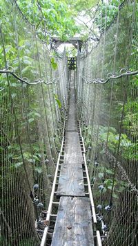 sopoaga falls wallpaper