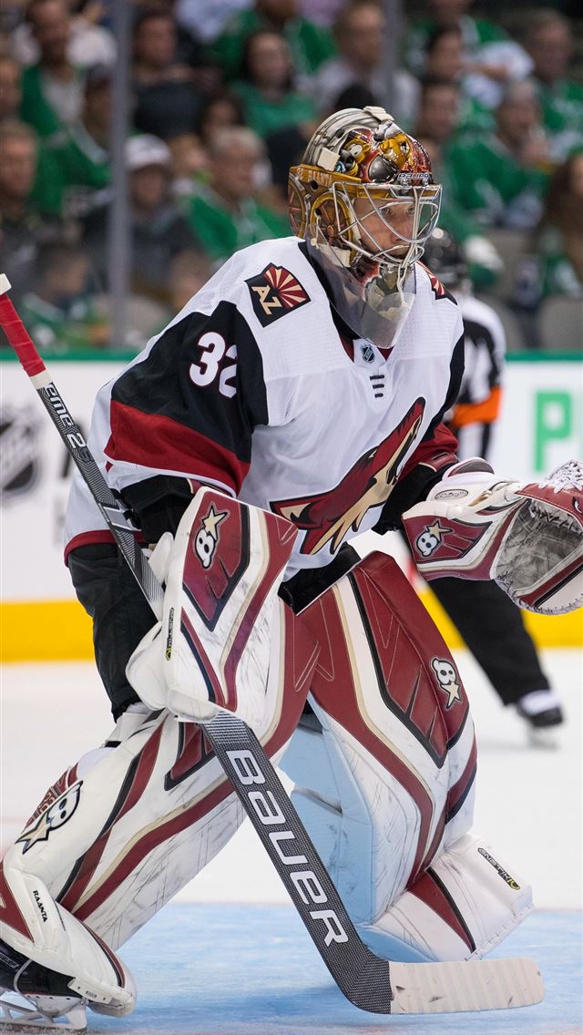 1284x2778 arizona coyotes - arizona coyotes iPhone Wallpaper