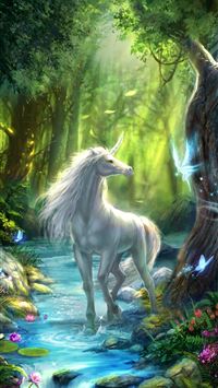 rapidash hd wallpaper