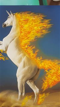rapidash hd wallpaper
