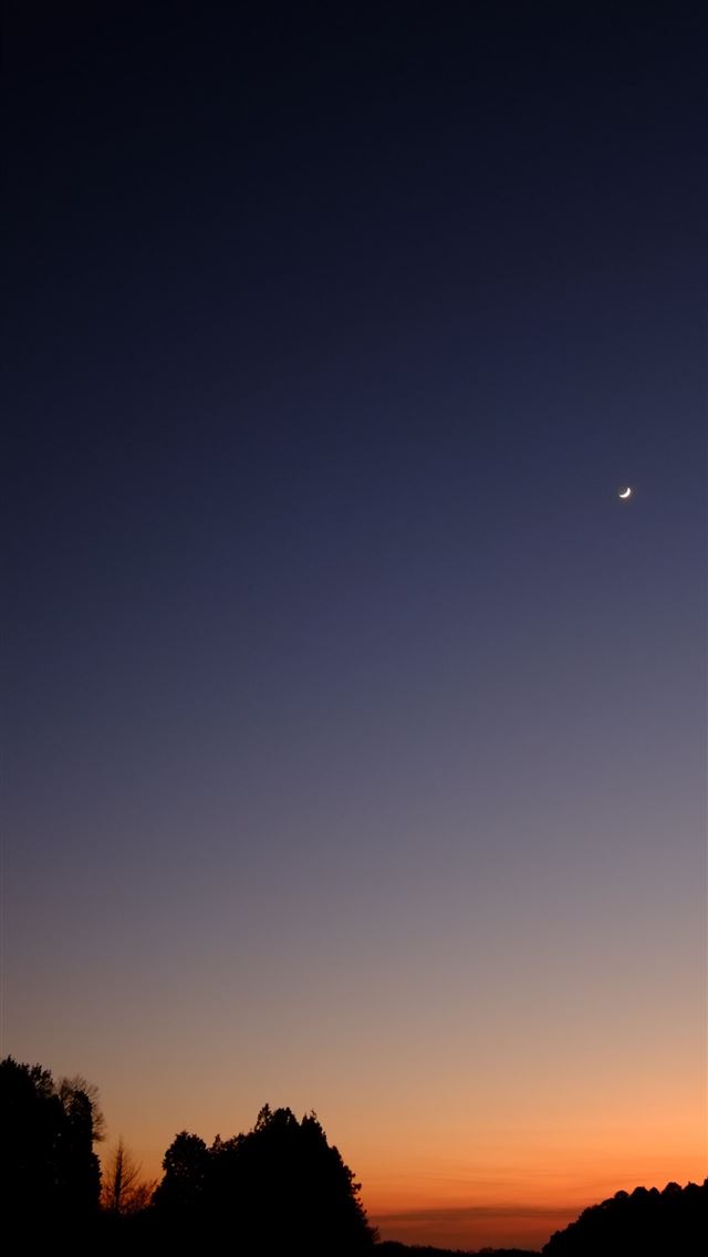 1284x2778 ebay - ebay iPhone Wallpaper