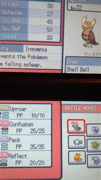 noctowl hd wallpaper