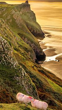 wales flag wallpaper