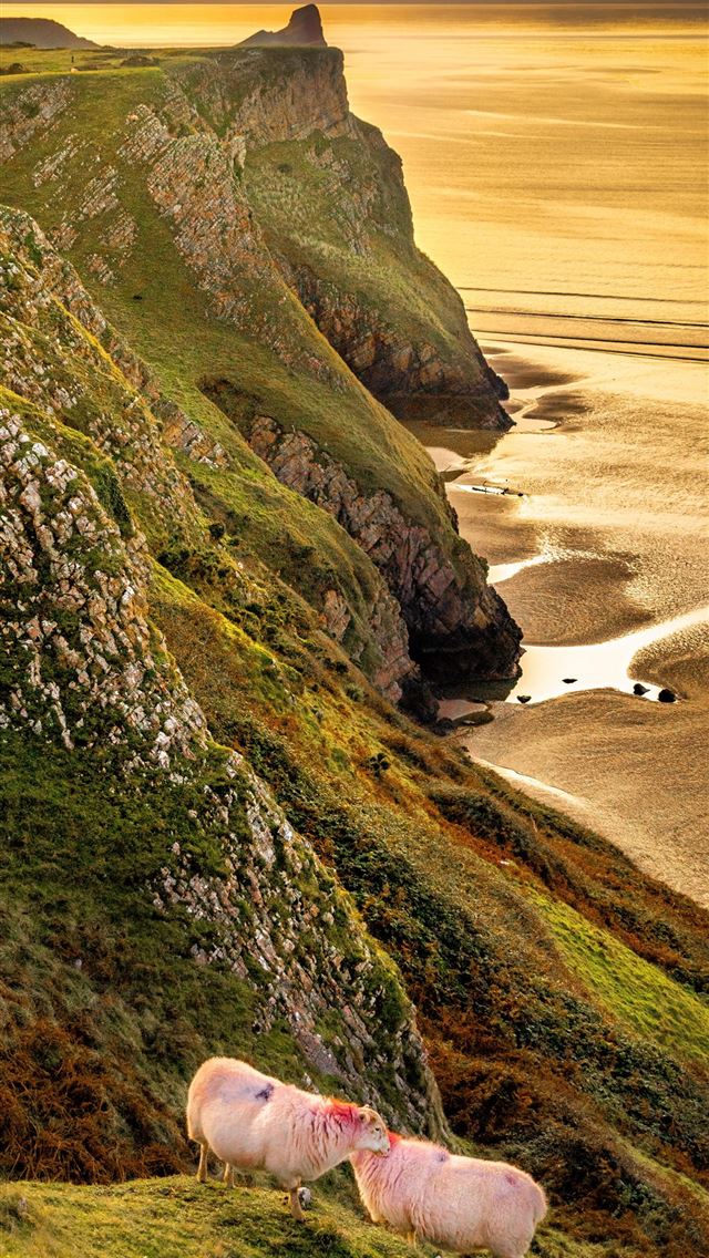 1284x2778 wales flag - wales flag iPhone Wallpaper