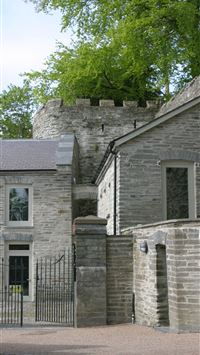 wales flag wallpaper