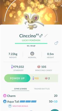 minccino hd wallpaper