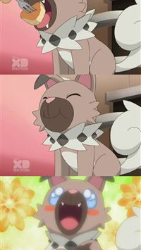 rockruff hd wallpaper