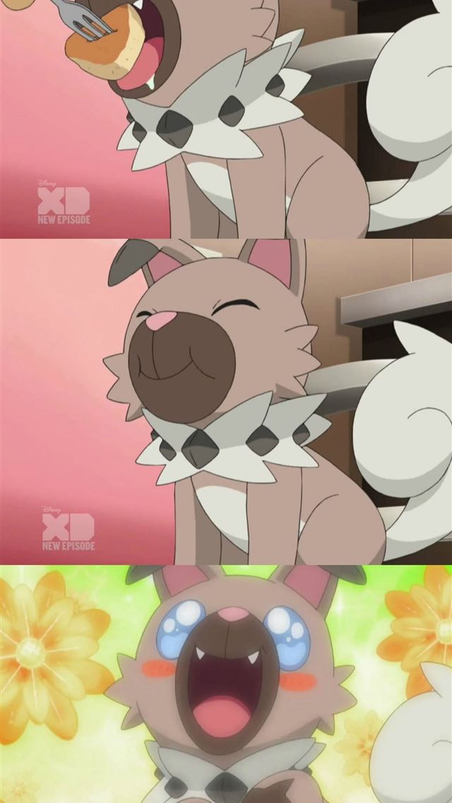1284x2778 rockruff hd - rockruff hd iPhone Wallpaper