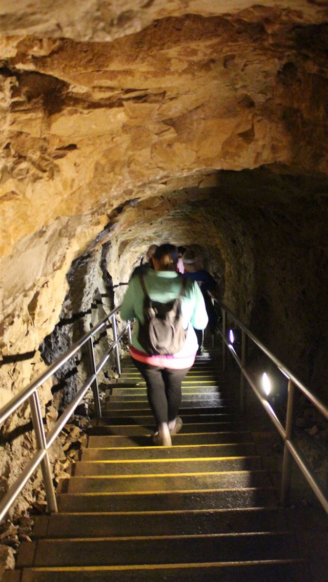 1284x2778 mammoth cave national park - mammoth cave national park iPhone Wallpaper