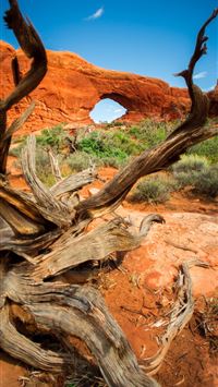 mammoth cave national park wallpaper