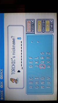 meowstic hd wallpaper