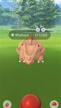 sharpedo hd wallpaper