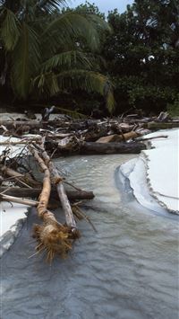 mount mulanje wallpaper