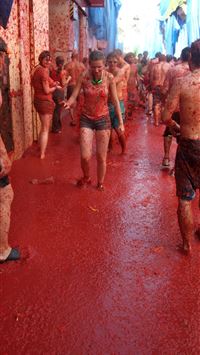 la tomatina wallpaper