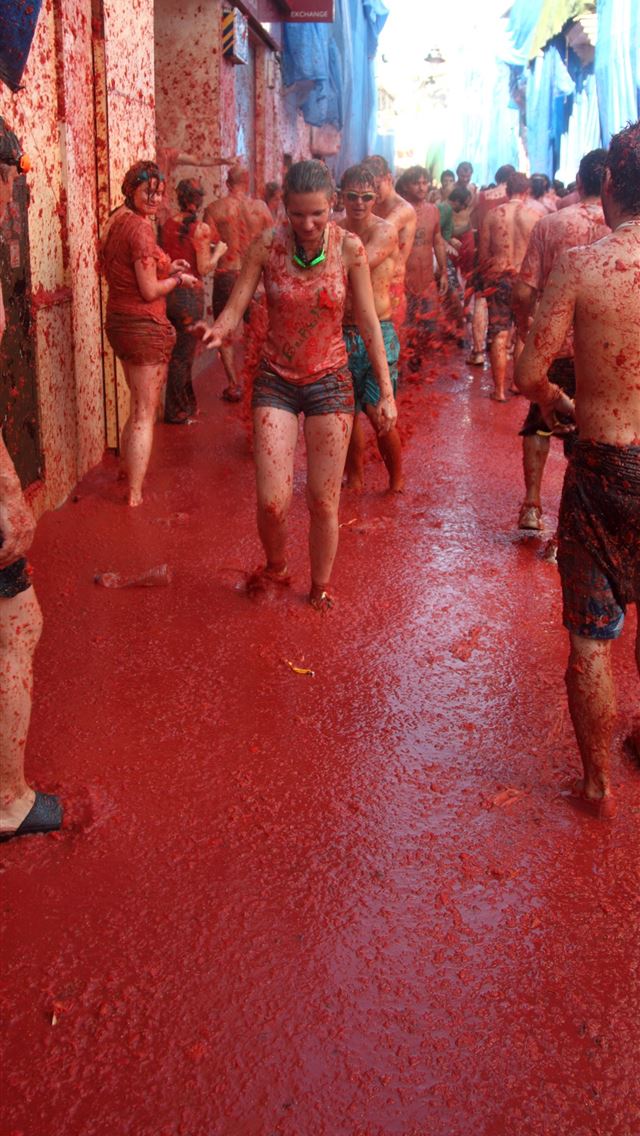 1284x2778 la tomatina - la tomatina iPhone Wallpaper