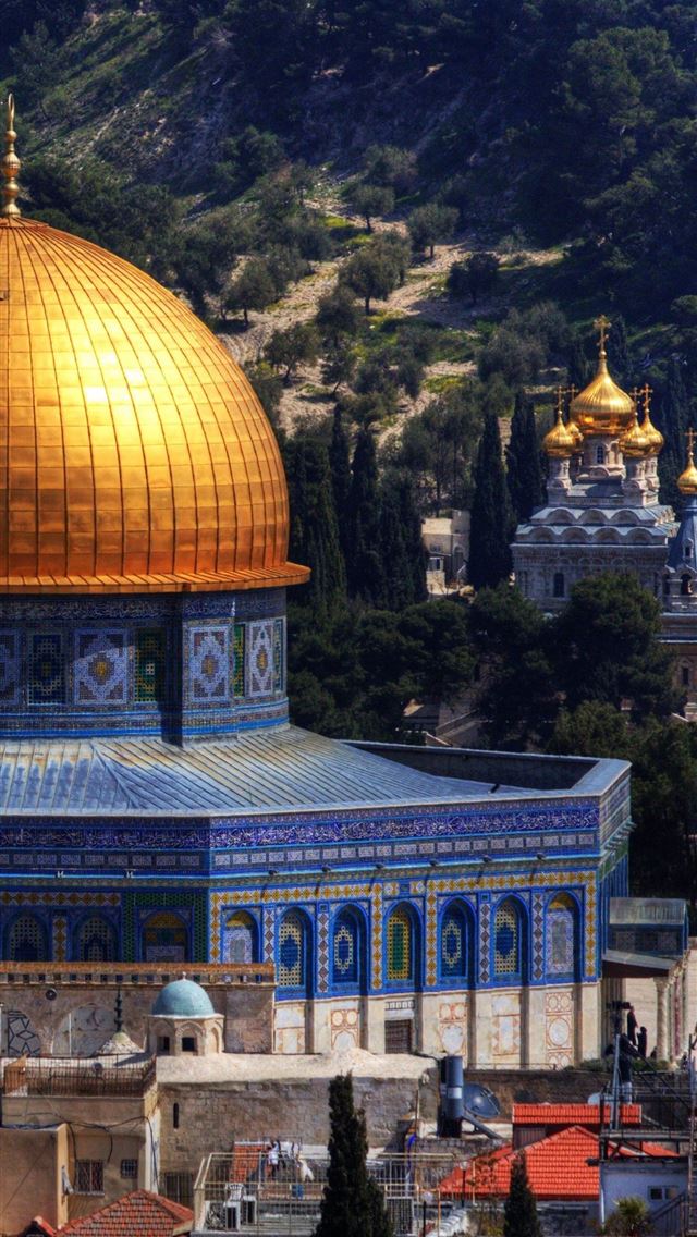 1284x2778 palestine - palestine iPhone Wallpaper