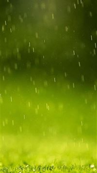 beautifly hd wallpaper