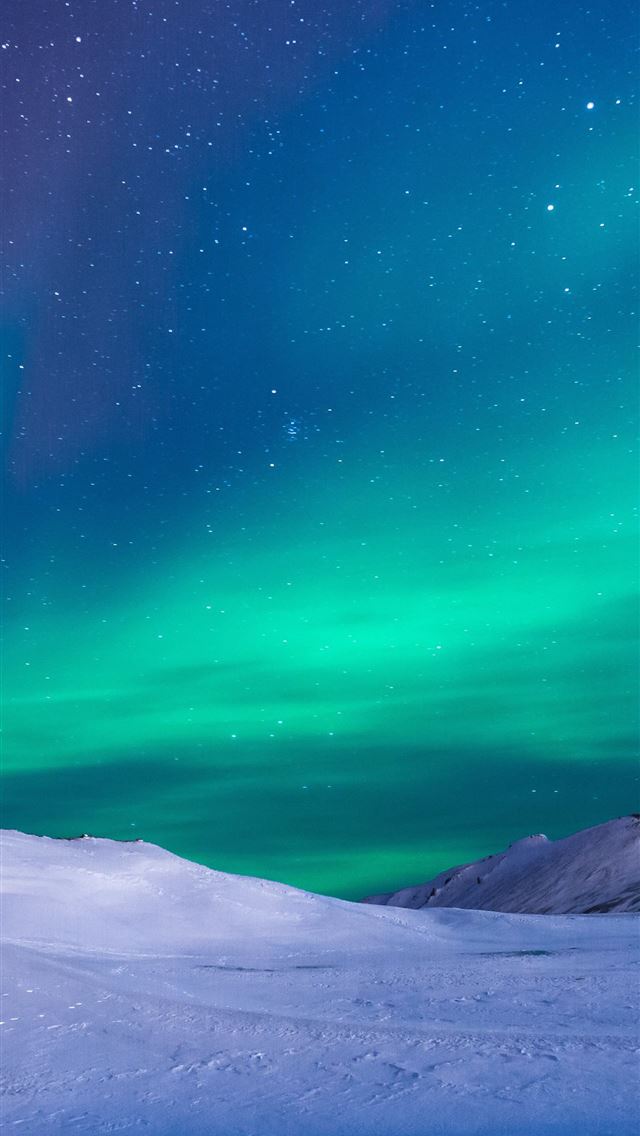 1284x2778 tesla semi truck - tesla semi truck iPhone Wallpaper