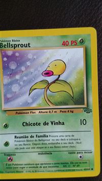 bellsprout hd wallpaper