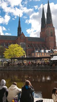 uppsala wallpaper