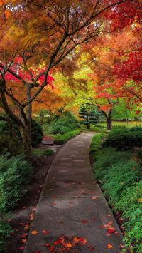 austria flag wallpaper