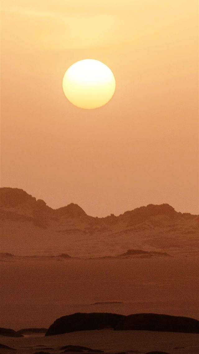 1284x2778 algeria flag - algeria flag iPhone Wallpaper