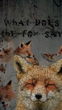 algeria flag wallpaper