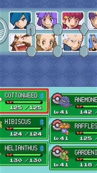 leavanny hd wallpaper