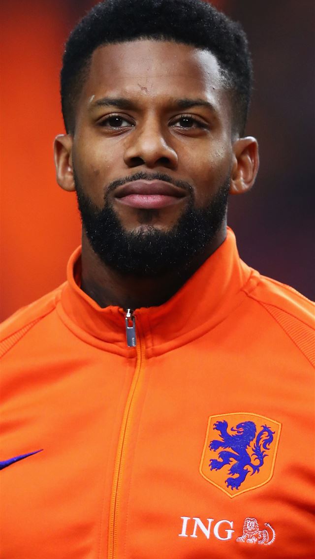 1284x2778 netherlands national football team - netherlands national football team iPhone Wallpaper