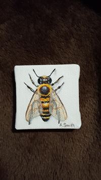 hornet insect wallpaper