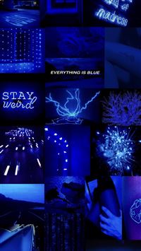 neon tetra wallpaper