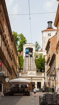 gnk dinamo zagreb wallpaper