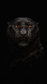 gnk dinamo zagreb wallpaper