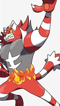 torracat hd wallpaper