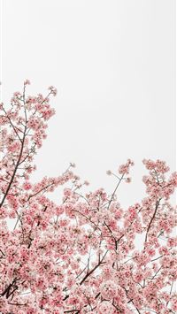 national mall wallpaper