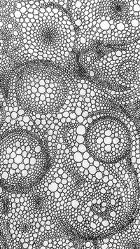 scarlet defender fortnite wallpaper