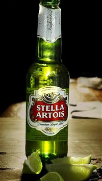 persian pokemon hd wallpaper