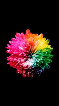 persian pokemon hd wallpaper