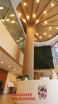 zimbabwe flag wallpaper